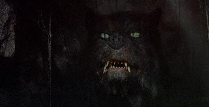 Lobo negro de olhos verdes rosnando na escuridão