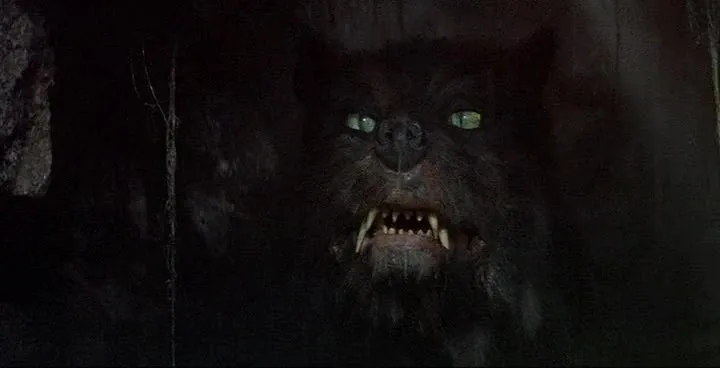 Lobo negro de olhos verdes rosnando na escuridão
